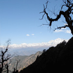Trekking in Garhwal