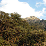 Trekking in Garhwal