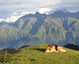 Sheepdog at Gorson Bugyal