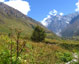 Valley of Flowers Trek