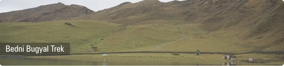 Bedni Bugyal Trekking