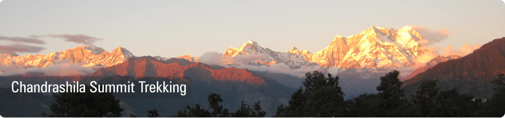 Chandrashila Summit Trek