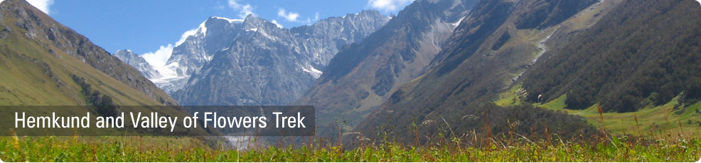 Valley of Flowers Trekking