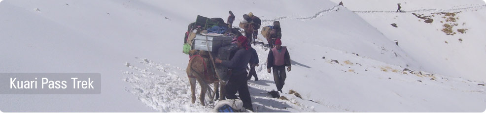 Kuari Tapovan Trek